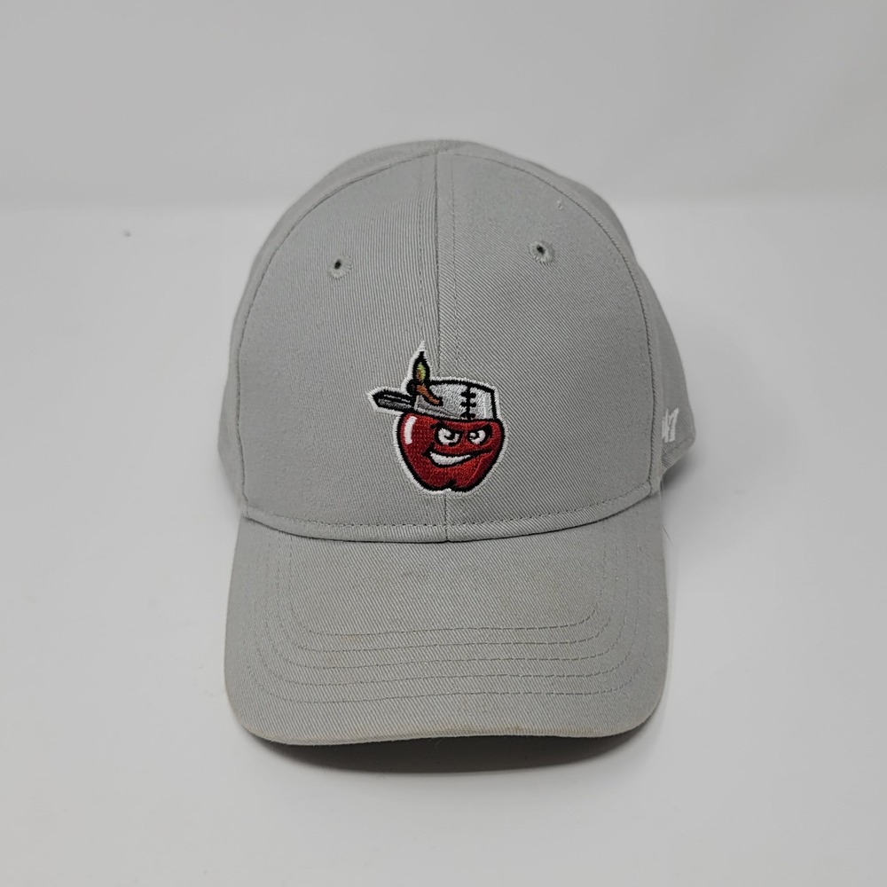 Infant '47‎ Brand Fort Wayne TinCaps Minor League Baseball Gray Fitted Hat Cap